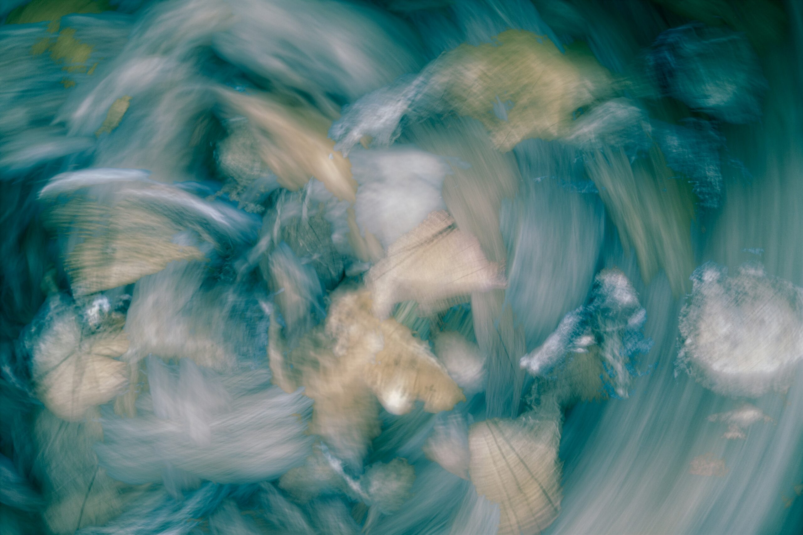 Blurry foto van bloemen gemaakt door Robert Clark, gevonden op Unsplash