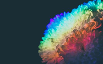 Te veel creatieve ideeën? Zo vind je rust en focus